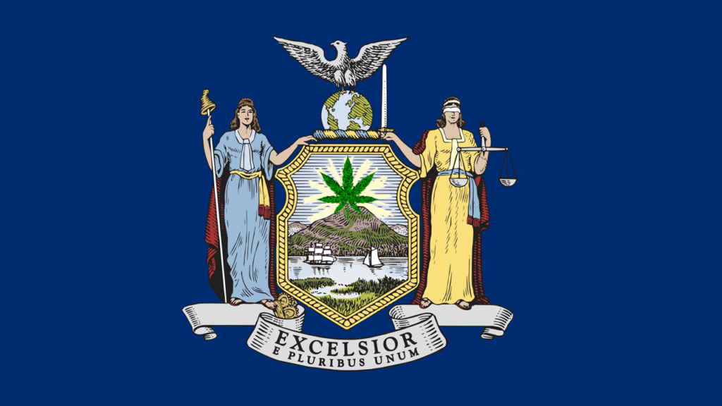 New York cannabis laws; Medusa seed bank